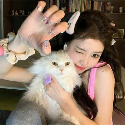 长翅膀的猪
