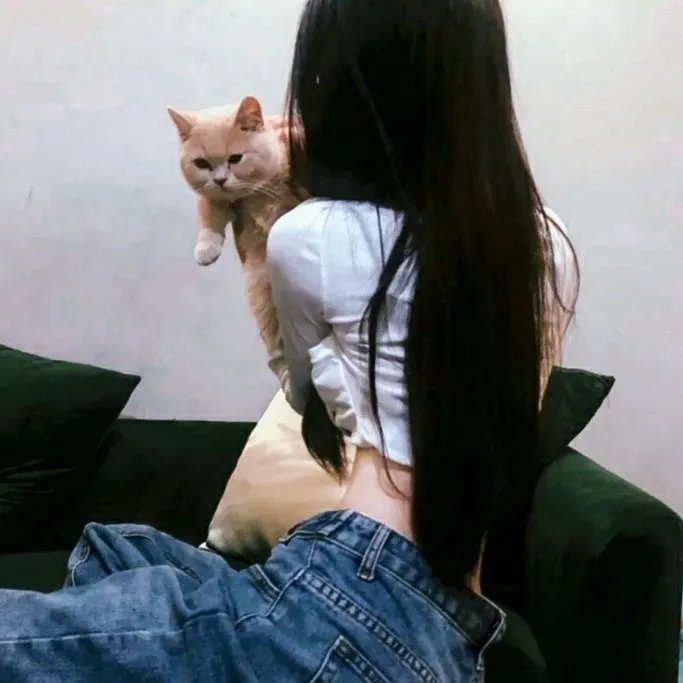 铁马英雄